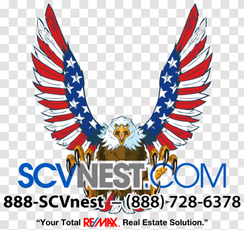 Bald Eagle United States Patriotism Clip Art - Flag Transparent PNG