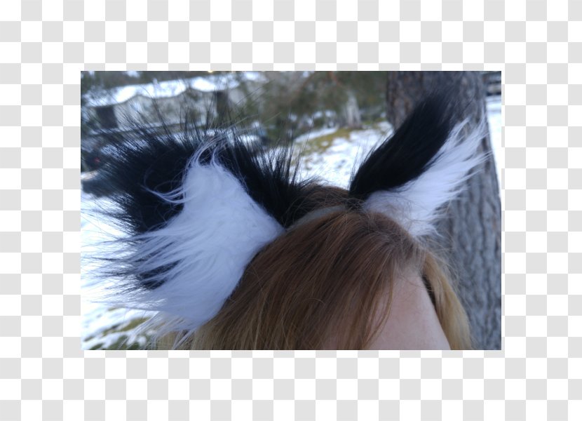 Ear Wildcat Tail Fur - Furry Fandom Transparent PNG
