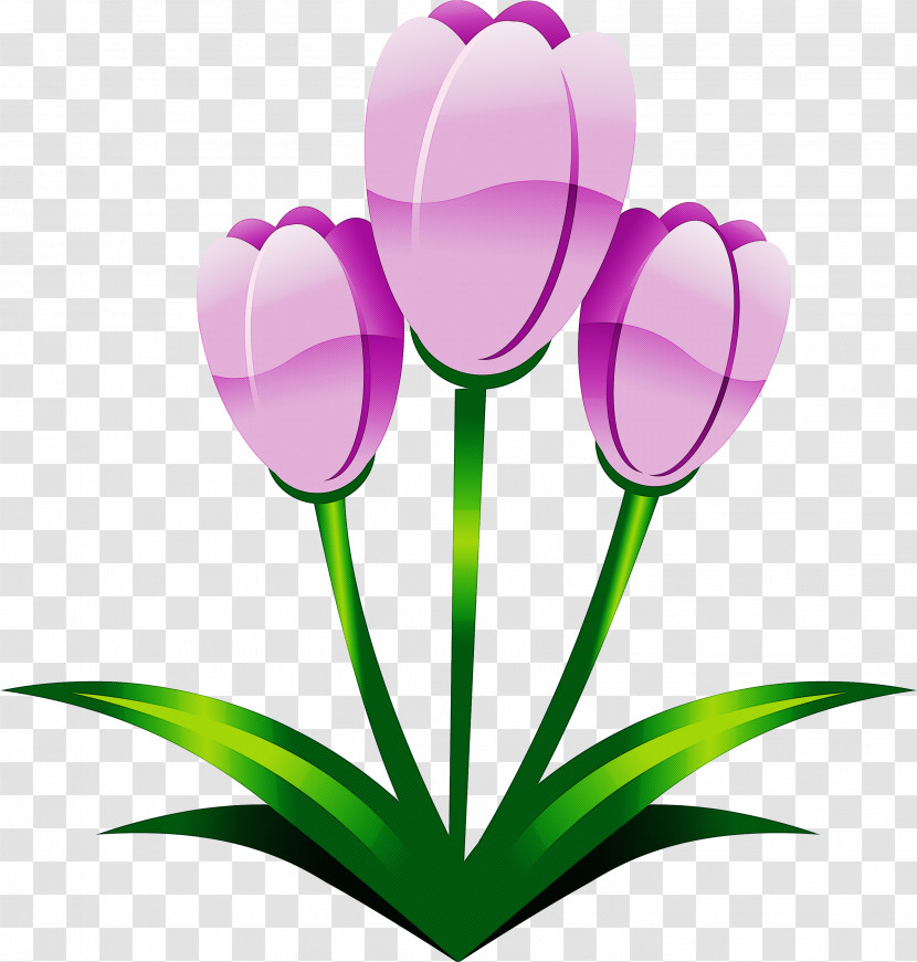 Easter Flower Spring Flower Transparent PNG