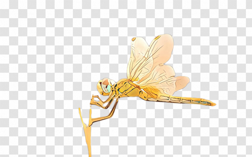 Insect Dragonflies And Damseflies Dragonfly Pest Yellow Transparent PNG