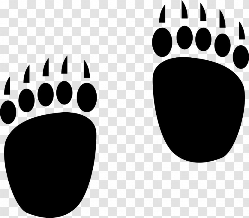 Polar Bear Footprint Vector Graphics Image - Hand Transparent PNG