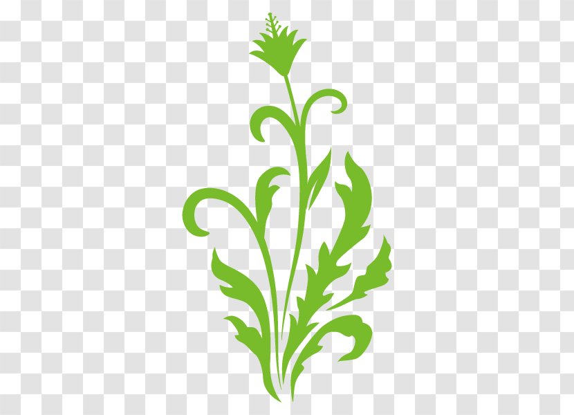 Illustration Grasses Plants Clip Art Flower - Text Transparent PNG