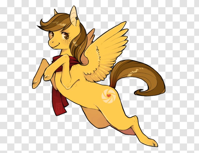 Pony Horse Cat Canidae - Like Mammal Transparent PNG