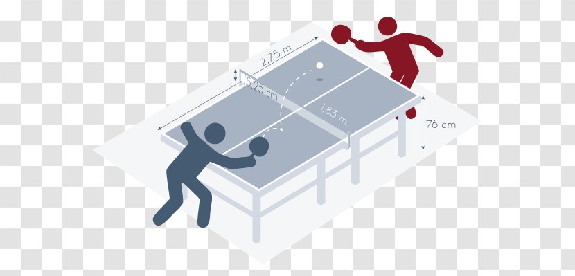 Table Ping Pong Single-player Video Game Tennis Ball - Guinea Pig Youtube Transparent PNG