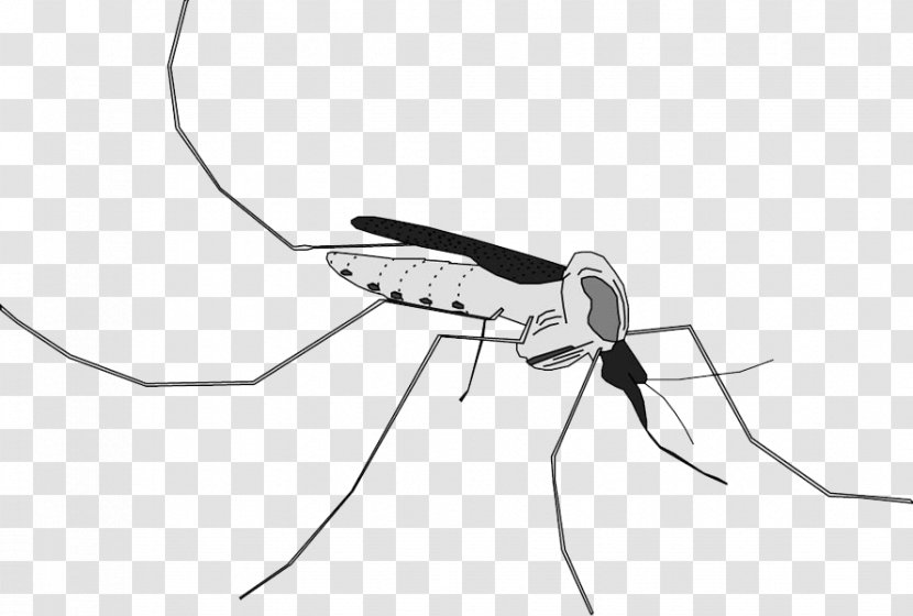 Mosquito Swim Briefs - Virus - Brief Transparent PNG