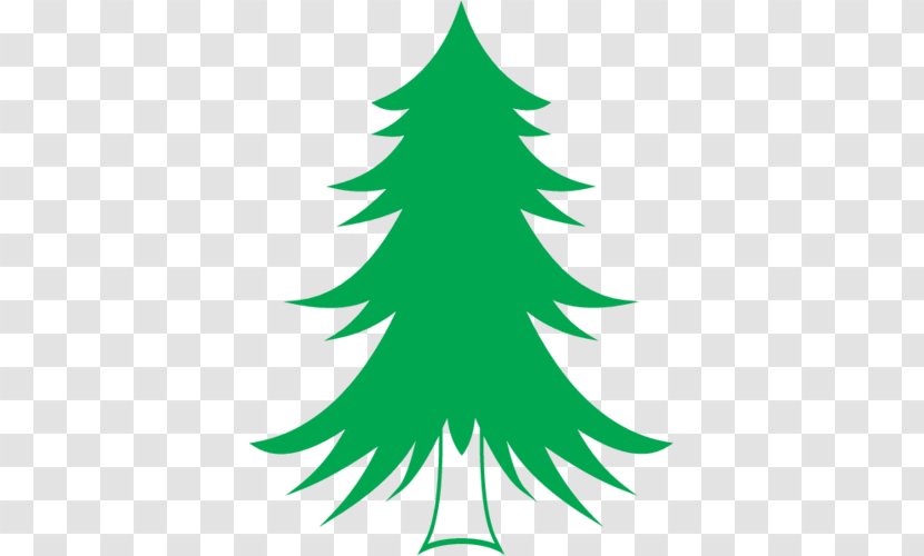 Spruce Pine Abies Alba Christmas Tree - Green Transparent PNG