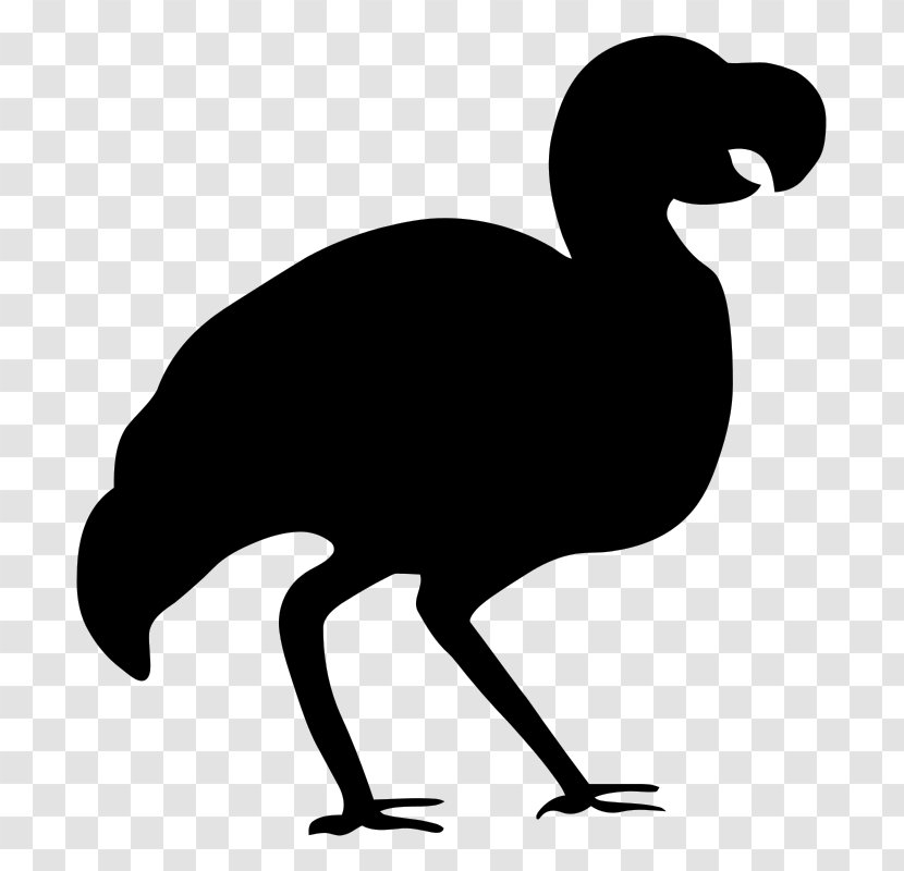 Bird Dodo Silhouette Clip Art - Silhouettes Transparent PNG