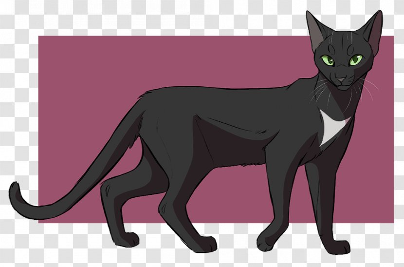Black Cat Warriors Kitten Drawing - Mammal Transparent PNG
