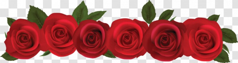 Rose Flower Clip Art - Family - Red Template Download Transparent PNG