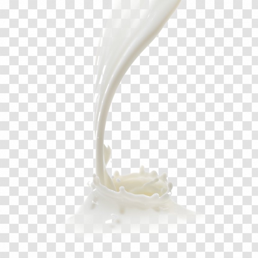 Milk Water Buffalo Dairy Products Curd Food - Raw Transparent PNG