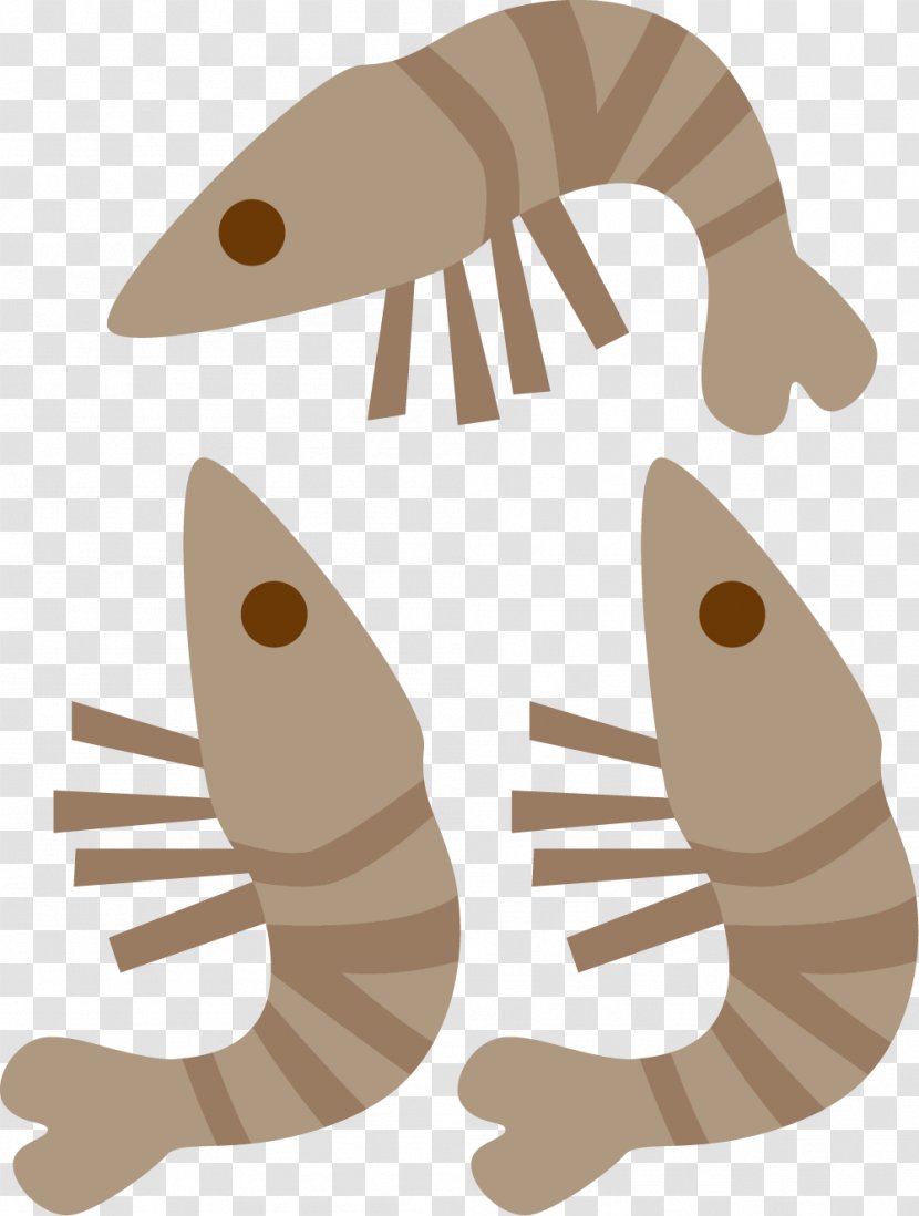 Shrimp Illustration - Marine Farming Transparent PNG