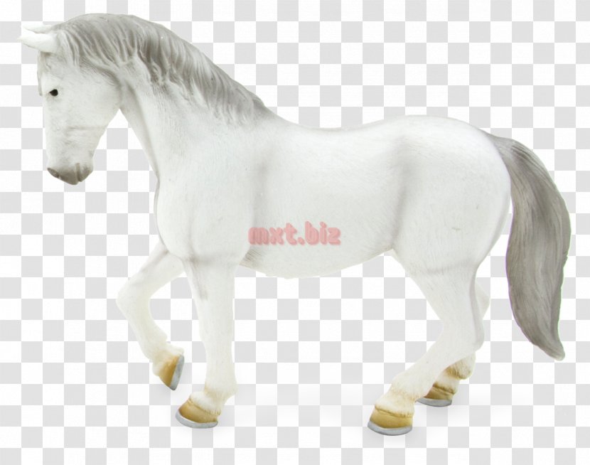 Lipizzan Pony Clydesdale Horse American Quarter Mane - Stallion - Lipizzaner Transparent PNG