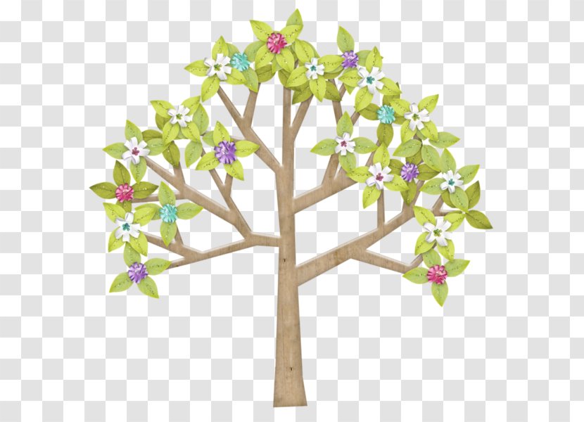 Tree Twig Branch Image Plants - Plant Transparent PNG