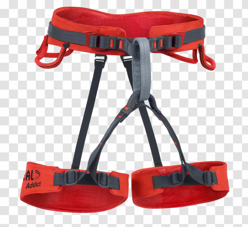 Amazon.com Climbing Harnesses Beal Dynamic Rope - Static - Addict Transparent PNG
