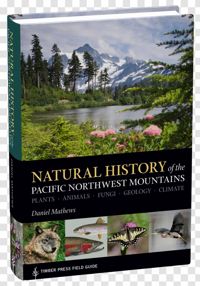 Natural History Of The Pacific Northwest Mountains: Plants, Animals, Fungi, Geology, Climate Field Guide Timber Press Nature's Temples: Complex World Old-Growth Forests - Book - Landscape Transparent PNG