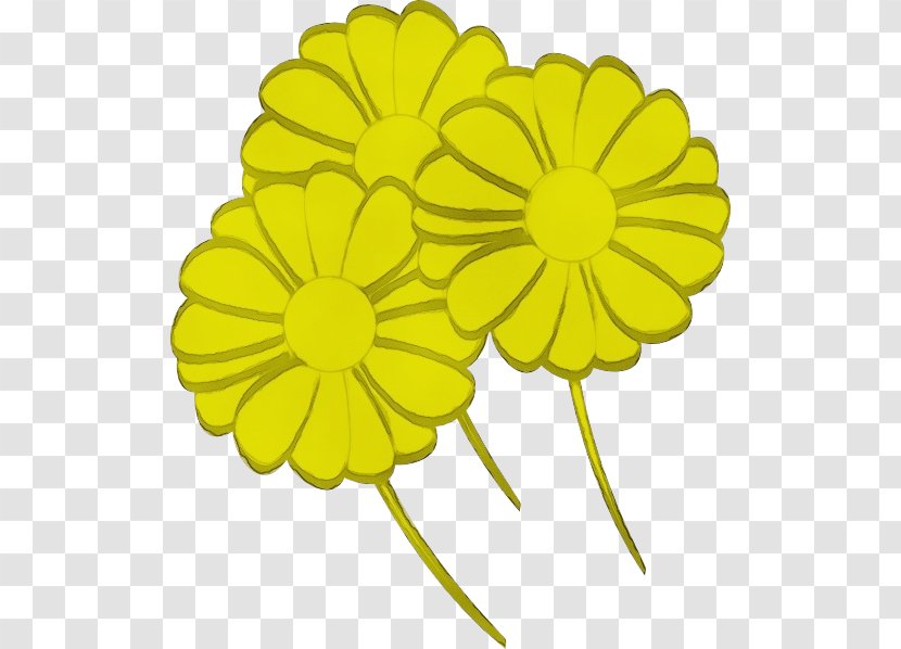 Yellow Flower Petal English Marigold Plant - Watercolor - Flowering Chamomile Transparent PNG