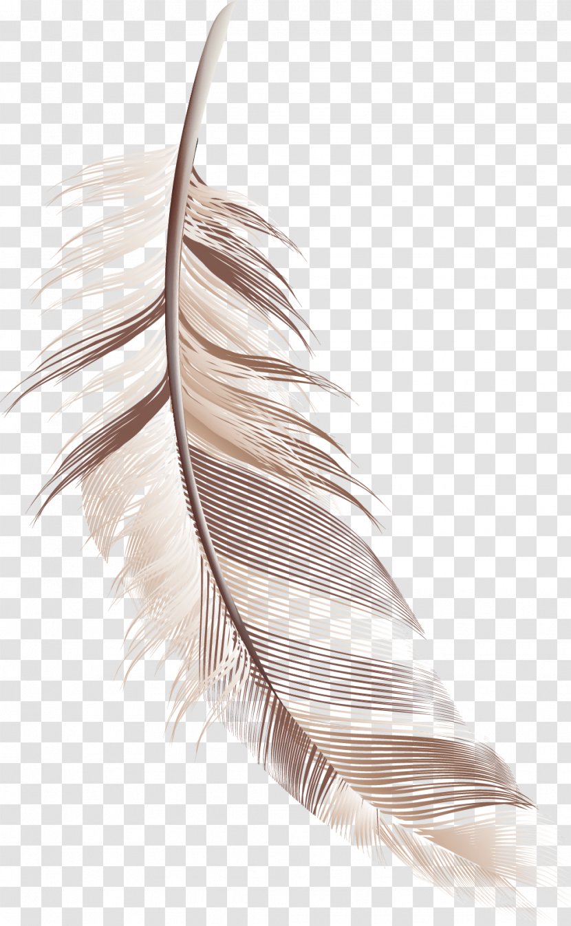 Feather - Bird - Cartoon Material Transparent PNG