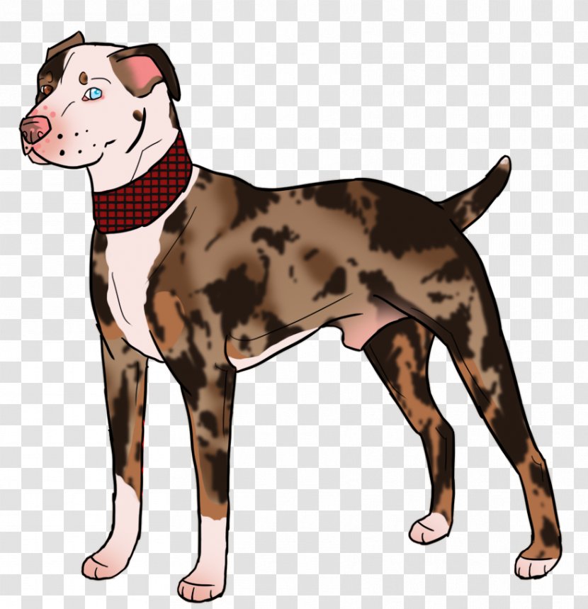 Dog Breed American Pit Bull Terrier Art - Snout - Catahoula Transparent PNG
