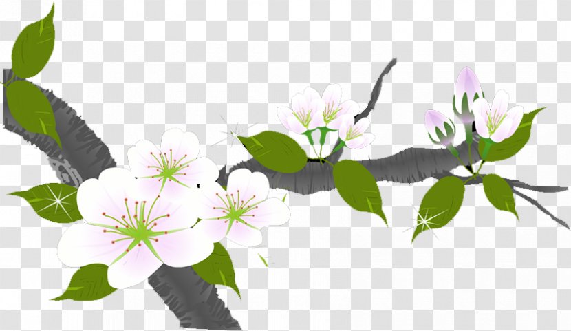 Flower - Plant - Plum Transparent PNG