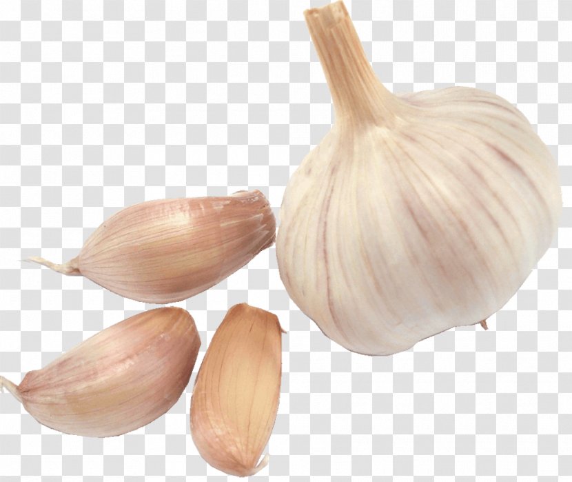 Garlic Satsivi Gajar Ka Halwa Vegetable - Commodity Transparent PNG
