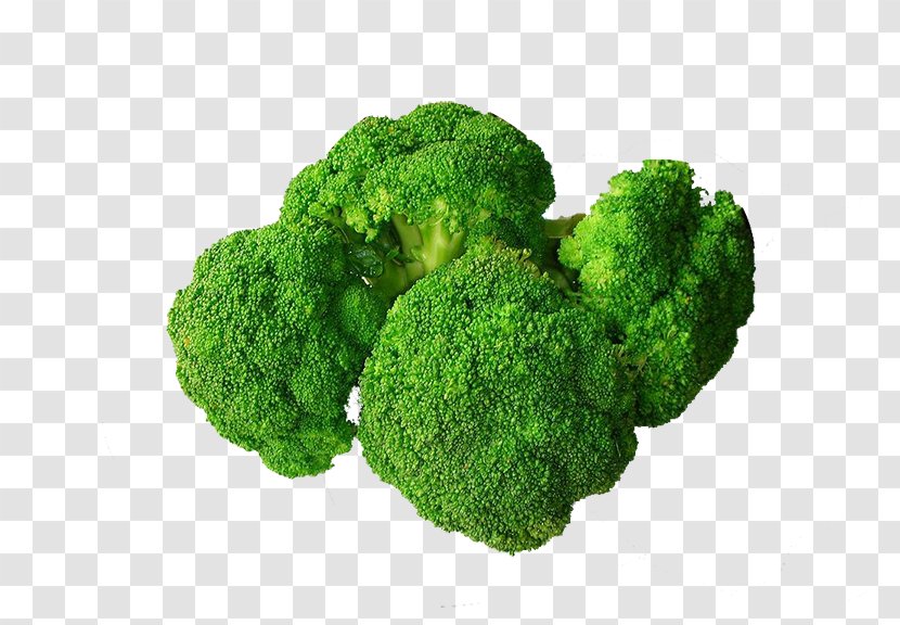Broccoli Food Vegetable Eating Nutrition - Oyster Sauce Transparent PNG