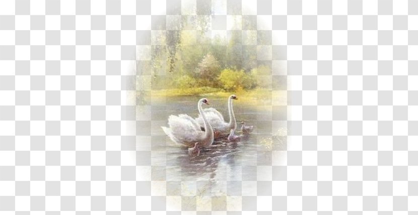 Bird Mute Swan Cygnini Art Painting - Tree Transparent PNG