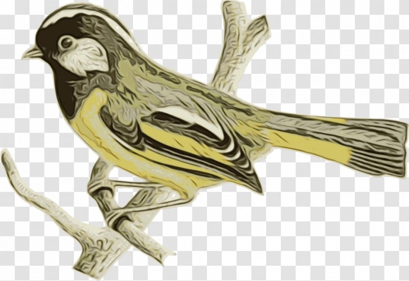 Watercolor Cartoon - Canary - Magnolia Warbler Brambling Transparent PNG