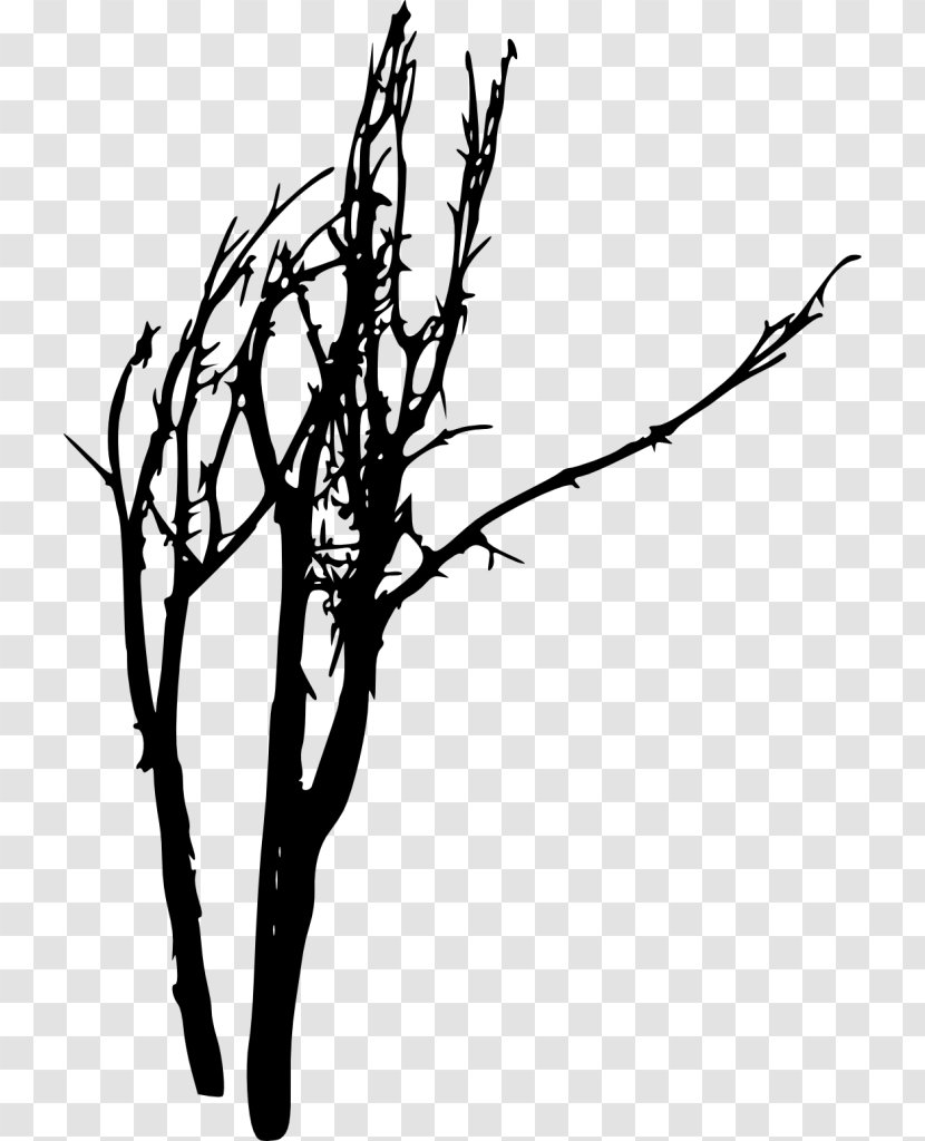 Twig Silhouette Black And White - Monochrome Transparent PNG