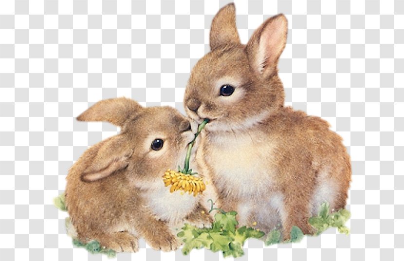 Easter Bunny Parade Holland Lop Hare - Egg Transparent PNG