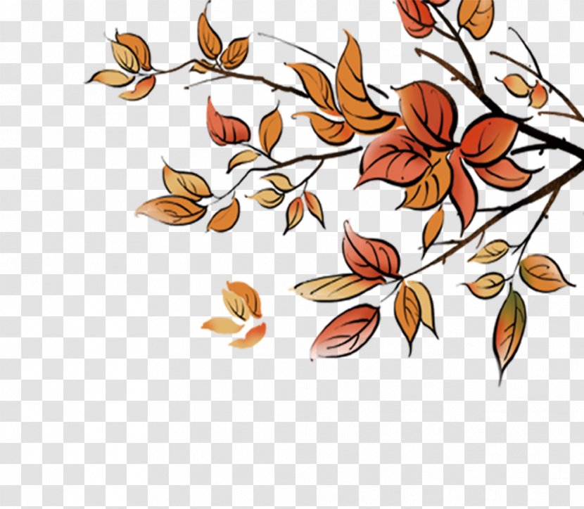 Autumn Leaf - Branch - Falling Transparent PNG
