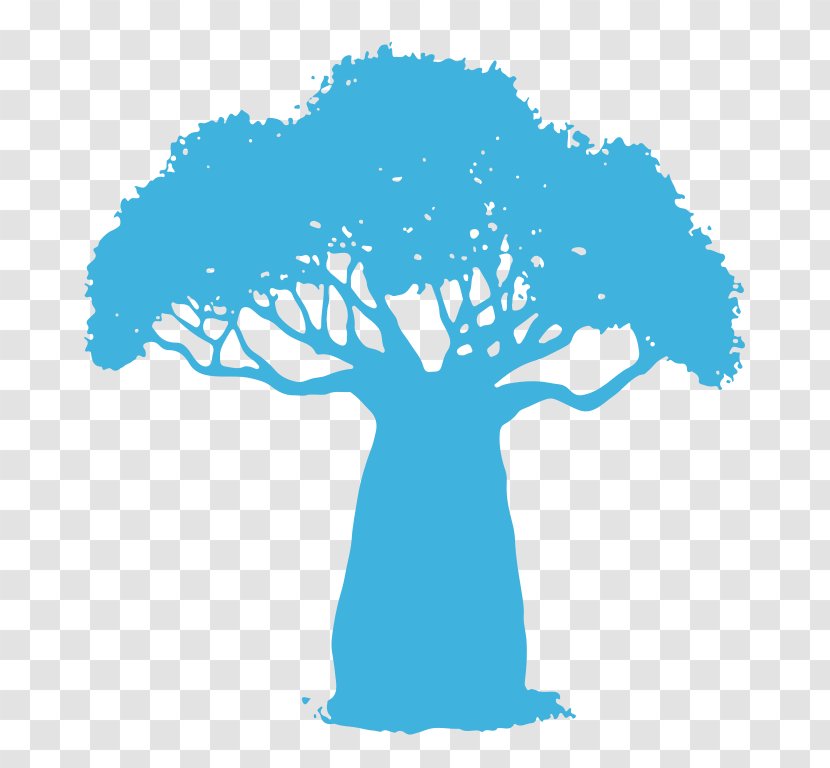 Baobab Wiki Indaba Tree Clip Art Transparent PNG