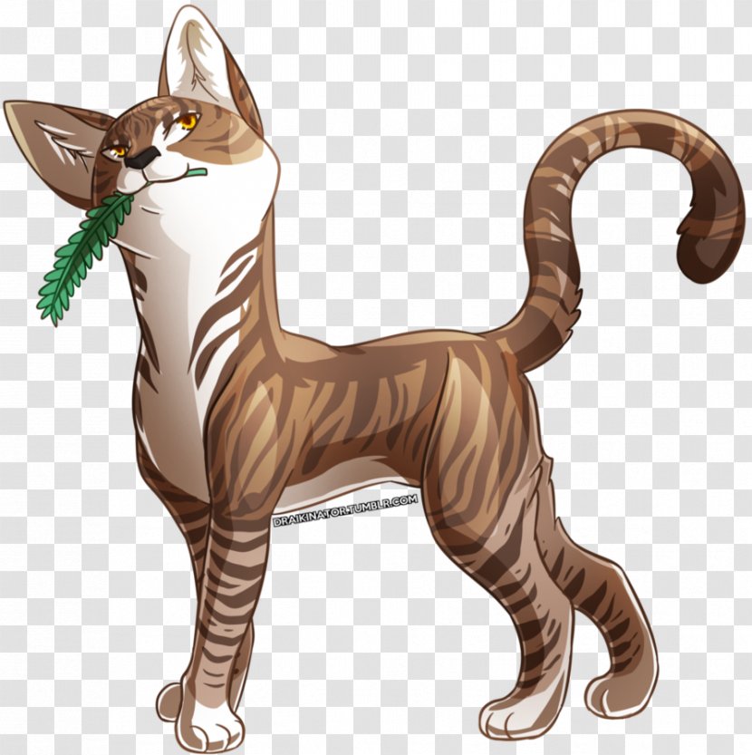 Cat Leafpool Digital Art ThunderClan - Animal Transparent PNG