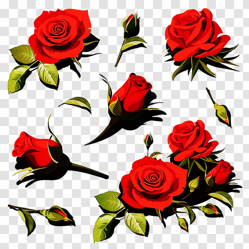 Garden Roses Transparent PNG