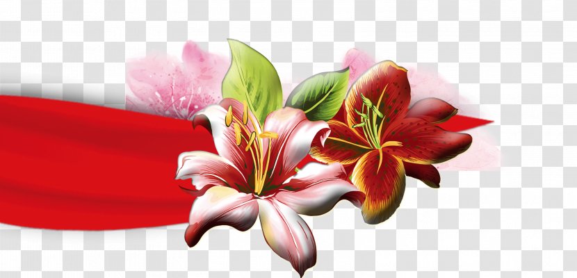 Lilium Flower Petal - Vine - Hand-painted Lily Fresh Transparent PNG