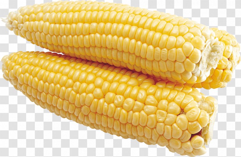 Maize Corn On The Cob - Food - Image Transparent PNG