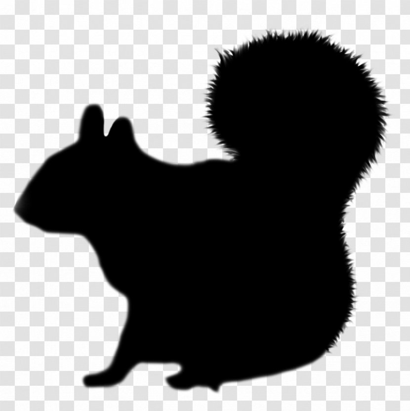 Whiskers Cat Rat Squirrel Bear - Dog - Fauna Transparent PNG