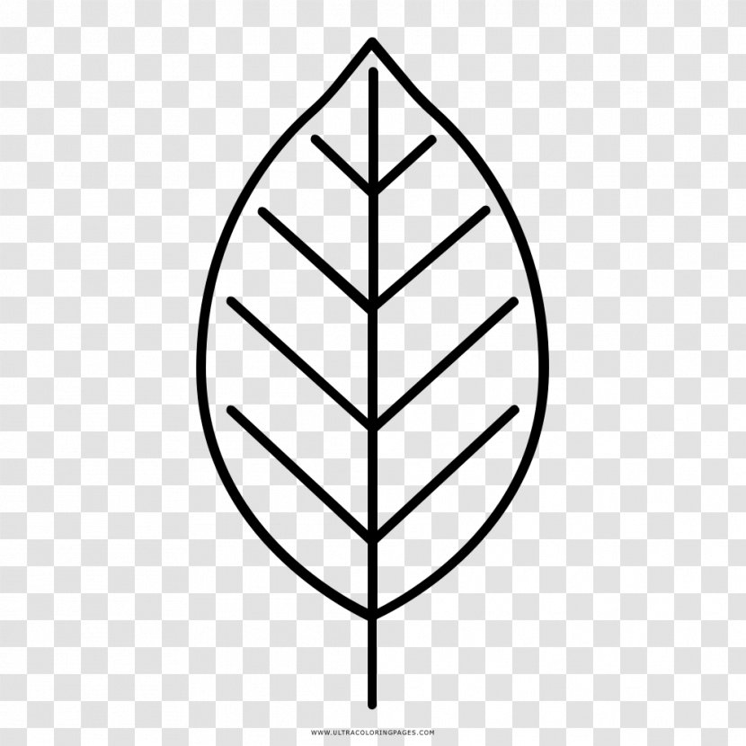 Leaf Drawing Coloring Book Black And White - Monochrome Photography Transparent PNG