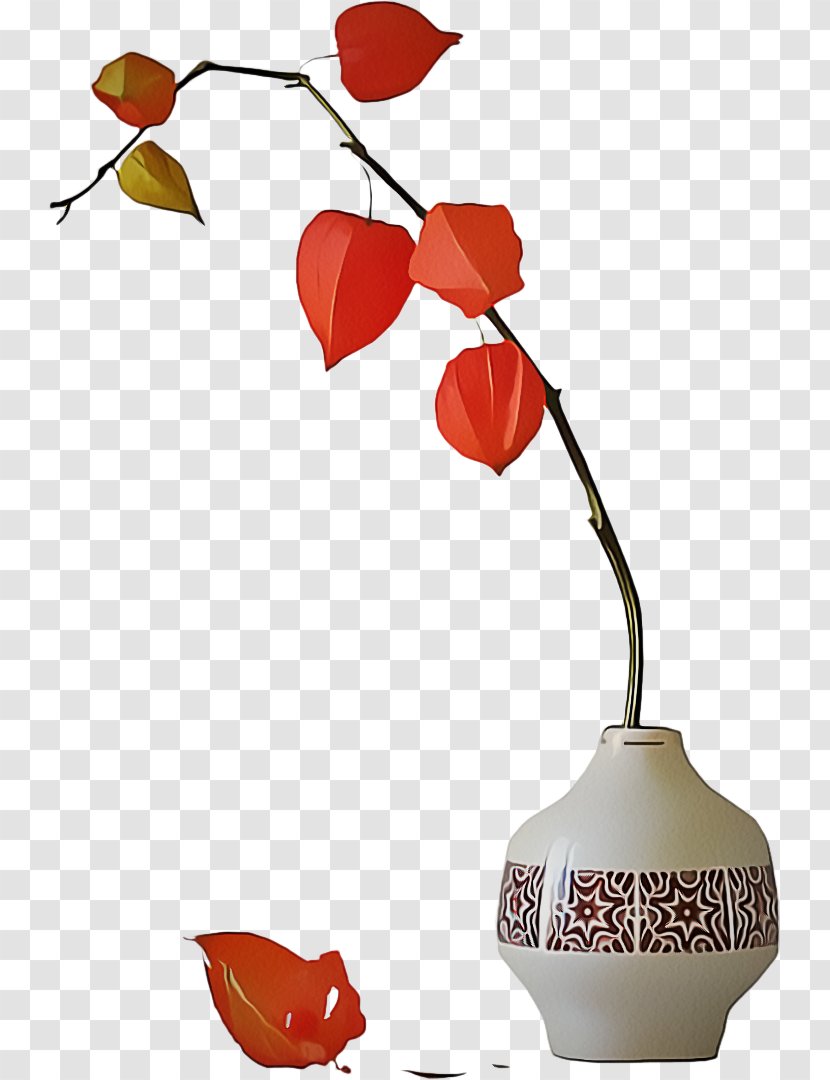 Leaf Plant Tree Vase Flower - Still Life Photography Lamp Transparent PNG