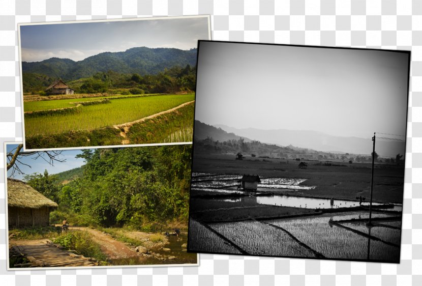 Reservoir Land Lot Picture Frames Photography Water Resources - Sky - Pha That Luang Lao Transparent PNG