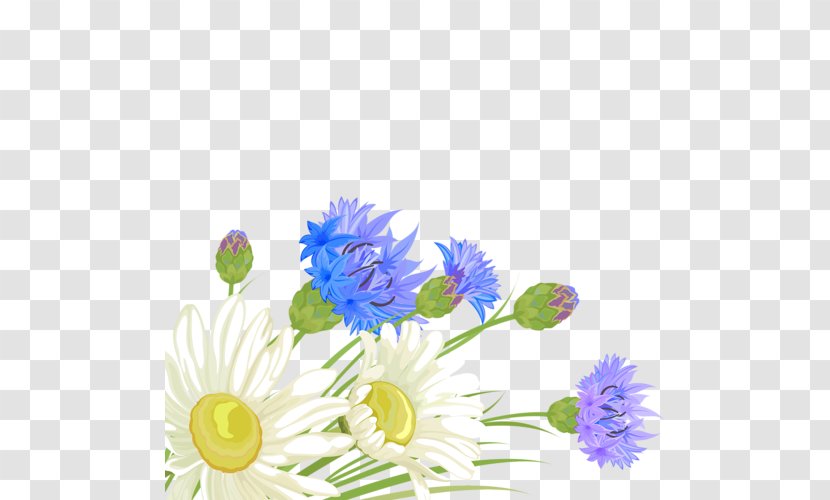 Blue Cut Flowers Chrysanthemum Floral Design - Flowering Plant - Flower Transparent PNG