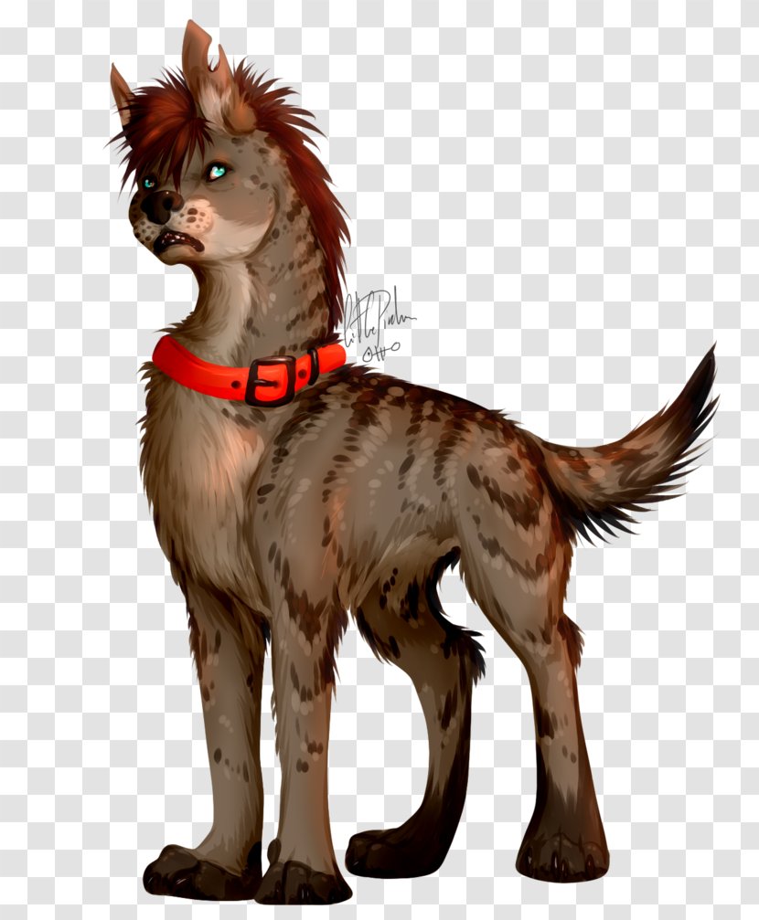 Dog Cat Horse Canidae Pet - Carnivoran - Hyena Transparent PNG