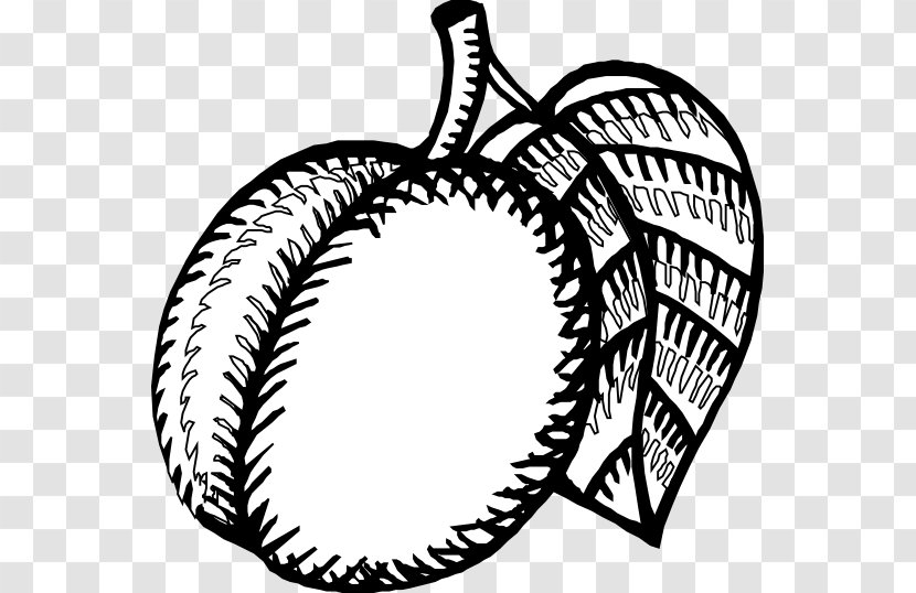 Nectarine Black And White Drawing Coloring Book Clip Art - Cliparts Transparent PNG