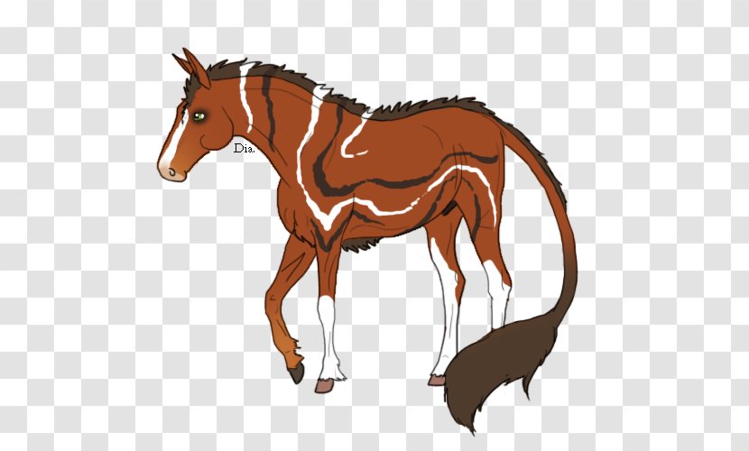 Mule Foal Stallion Mare Colt - Horse Like Mammal Transparent PNG