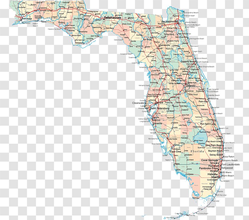Florida Mapa Polityczna Map Collection World - Ecoregion Transparent PNG