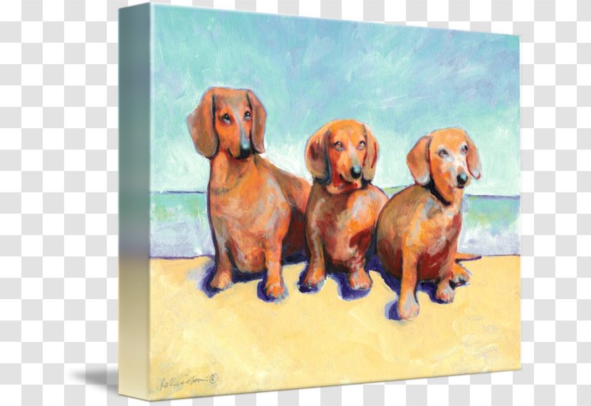 Dachshund Puppy Dog Breed Companion Painting - Imagekind Transparent PNG