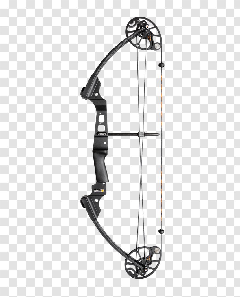 Guide To Better Archery Bow And Arrow Compound Bows Hunting - Indoor Equipment Transparent PNG