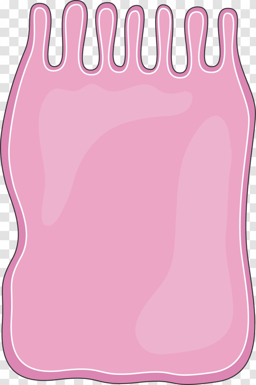 Clip Art Product Pink M Line Finger - Columnar Epithelial Cells Transparent PNG