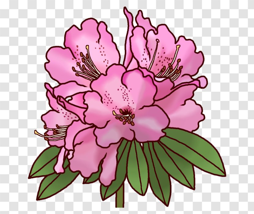 Rhododendron Subg. Hymenanthes Koka 滋賀県レクリエーション協会 Floral Design Brachycarpum F. Nemotoanum - Shrub - Ohana Transparent PNG