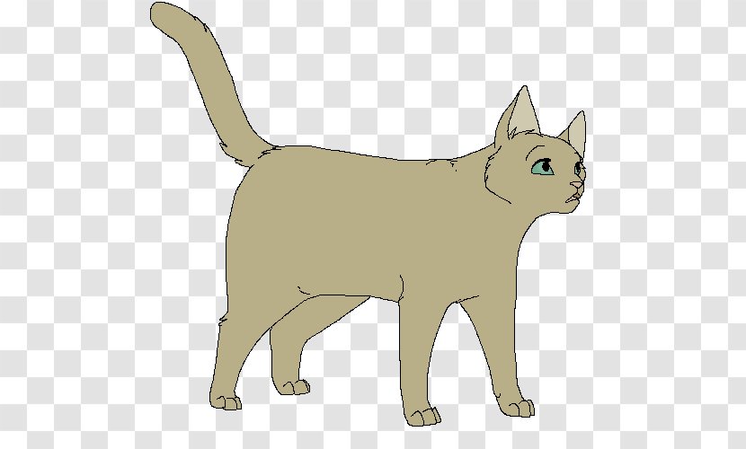 Whiskers Domestic Short-haired Cat Dog Wildcat - Shorthaired - Tumblr Backgrounds Transparent PNG