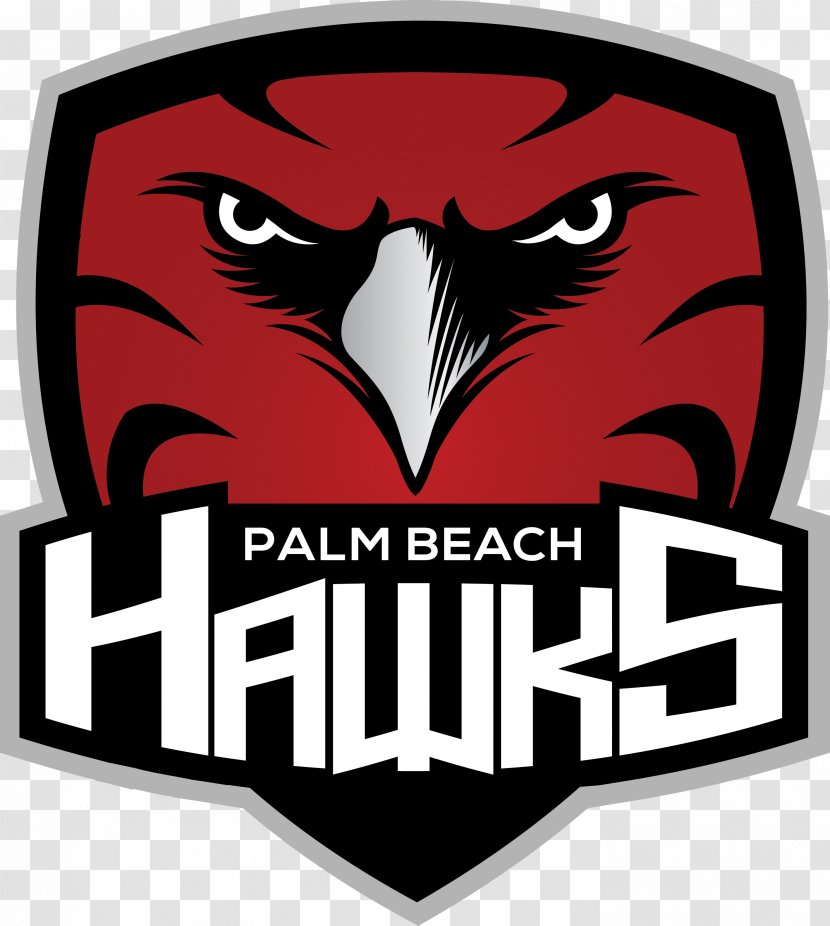 Palm Beach Hawks Atlanta Logo Ice Hockey - Bird Of Prey - Team Transparent PNG